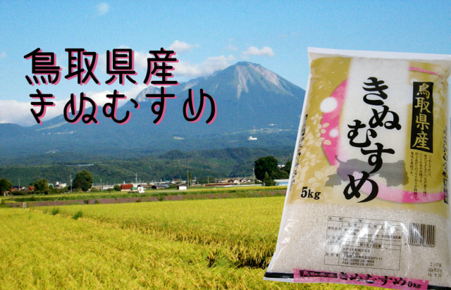 鳥取県産 きぬむすめ