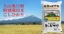 令和7年産 鳥取県奥大山日野米 鳥取県認証 特別栽培米こしひかり