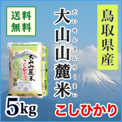 鳥取　大山　こしひかり