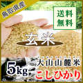令和7年産 玄米 鳥取県産 大山山麓米コシヒカリ（選別済）5kg　（送料込）