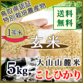 令和5年産 玄米 鳥取県 奥大山の水で育った 日野特別栽培米コシヒカリ（選別済）5kg　（送料込）