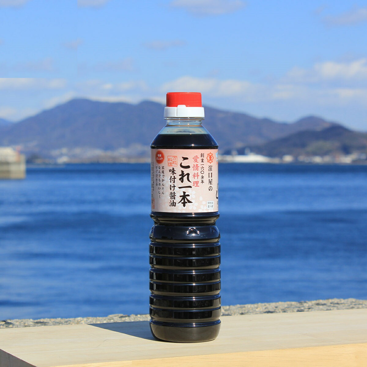 濱口醤油 これ一本 味付け醤油 500ml