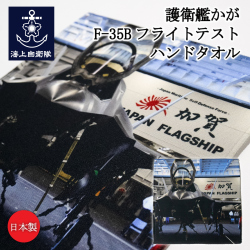 フライトテスト　かが