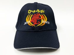 護衛艦ひゅうが