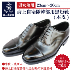 自衛隊　靴