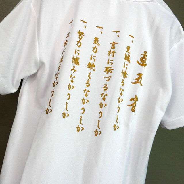 海上自衛隊 第2術科学校 限定 Tシャツ L サイズ　　　　シャツ 自衛隊 海軍 海上自衛隊 第2術科学校 限定 Tシャツ L サイズ シャツ 自衛隊