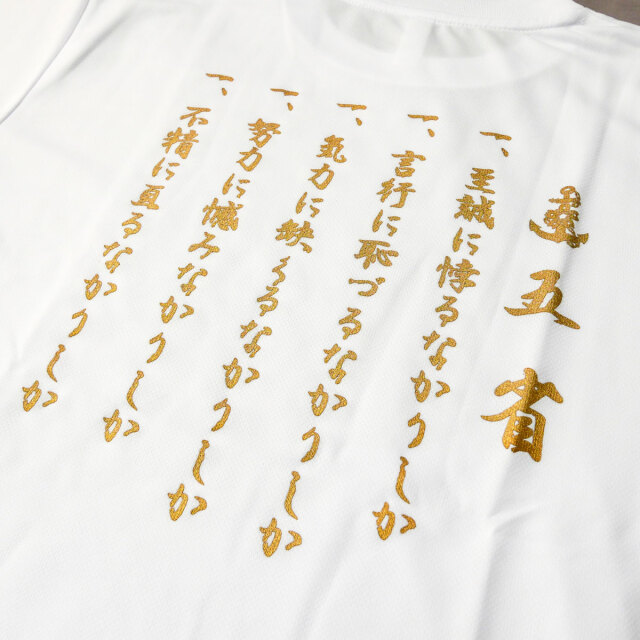 t-shirts(GOSEI)
