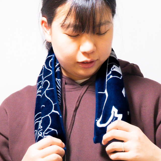 フェイスタオル(護衛艦いなづま)