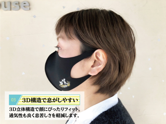 立体マスク(海上自衛隊 護衛艦かが)