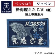 ワッペン【 掃海艦えたじま（鷹） 】 陸上戦闘服用 縦4cm 横6cm