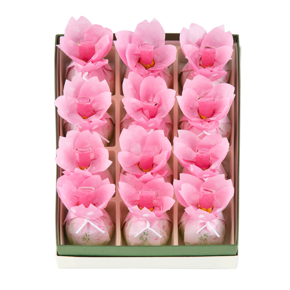 24桜花舞ふ12入