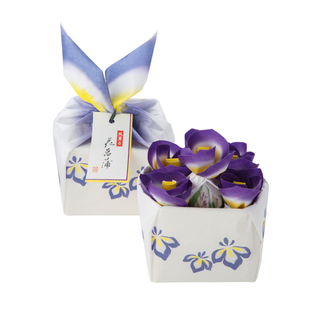 22花菖蒲5入