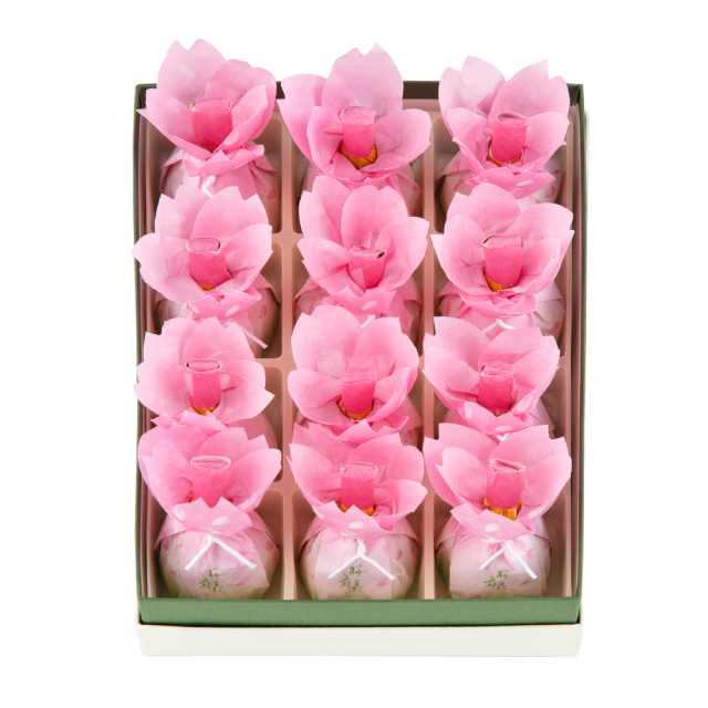 24桜花舞ふ12入
