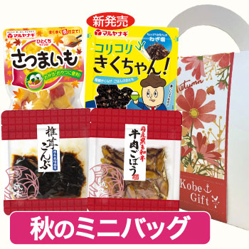 秋のミニバッグ