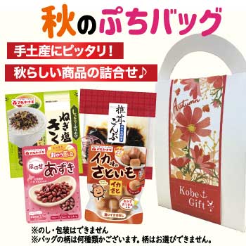 秋のぷちバッグ