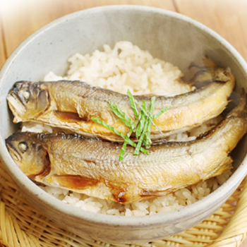 鮎ごはんの素