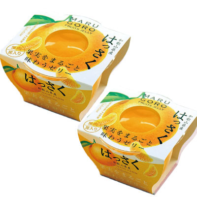 【まとめ買いがお得】和歌山はっさくゼリー×2個