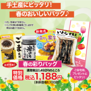 春の彩りバッグ