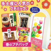 春のプチバッグ