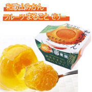 和歌山みかんまるごとゼリー