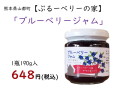 坂本ブルーベリー単