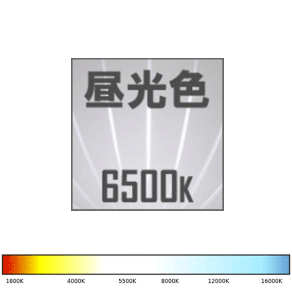 電球