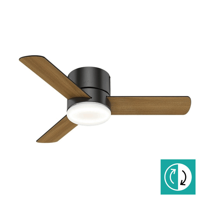 ハンターファン,hunter fan