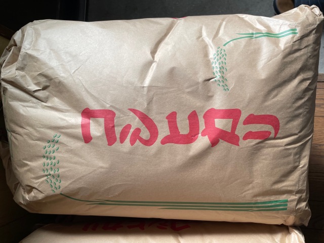 新米 山口県産 コシヒカリ（ 令和6年産 玄米 ） 30kg 数量限定 