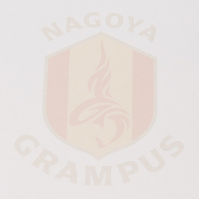 24色紙(エンブレム) サイン用 名古屋グランパス 公式グッズ NAGOYA GRAMPUS