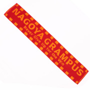 タオルマフラー(ロゴ) レッド 名古屋グランパス 公式グッズ NAGOYA GRAMPUS