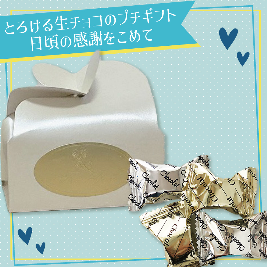 生チョコセットプチ 生チョコ仕立て プチギフト ほんの気持ち