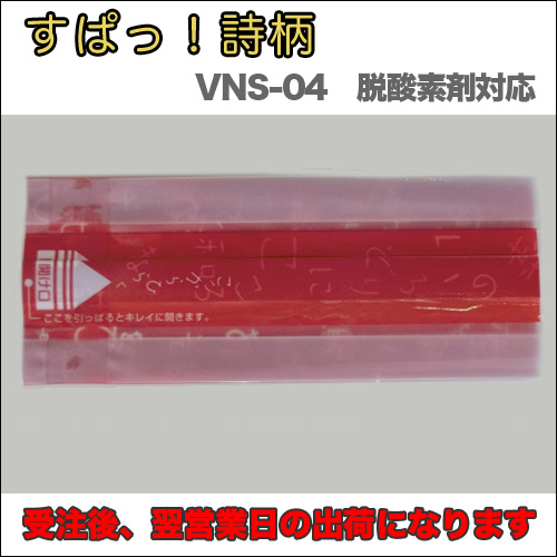 VNS-04