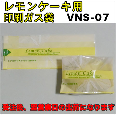 VNS-07