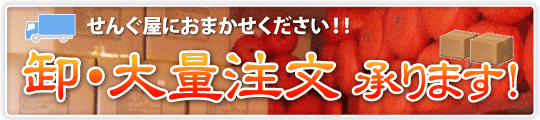 卸・大量注文承ります！