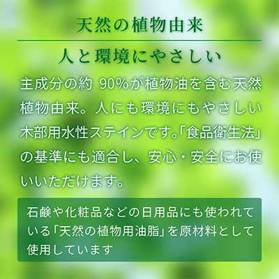 ボタニカルペイント説明