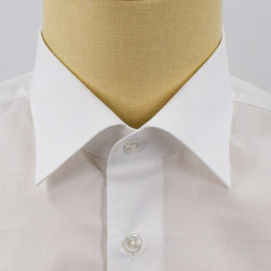 [海島綿] ブロード-ホワイト #102_写真2