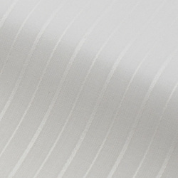 [ギザ GIZA] ドビーシックシンストライプ-ホワイト #3890_写真5