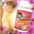 �ܥ���ǥ�å����ע�����ͭ̾��ǽ�ͤ�����٥Ĥ�B��D����