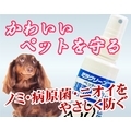 �ڥå��ѥߥ饯�꡼��(100ml)