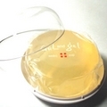 ���륢��ɥ��� �ȥ�ץ�� ��ǥ��������� 100g