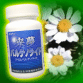 ��̴�ѥ�ƥΥ饤�ɢ���̴�ܥѥ�ƥΥ饤�ɤ���������̴�Υɥå��󥰡�