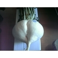 �����绺�����纬