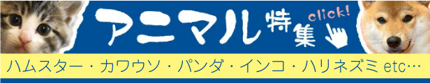 アニマルバナー