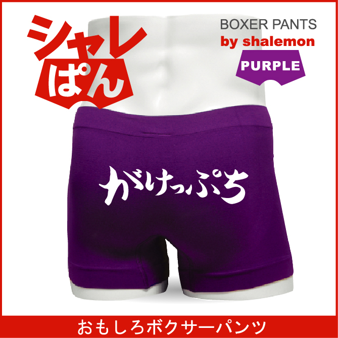 ボクサーパンツ 【 名言集 がけっぷち 】 ナイロン メンズ パープル おもしろい ジョーク 下着 男性 ★H11★