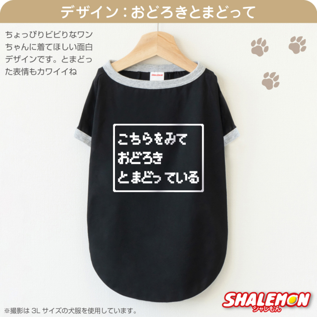 犬服 犬 ( コマンド 選べるデザイン 選べるサイズ ) おもしろ T ドッグ