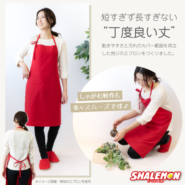 エプロン ( 私、失敗しますので 選べるカラー ) 実用的 キッチン
