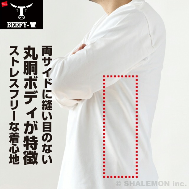 HANES ヘインズ BEEFY ロンT ロングスリーブ 長袖 Tシャツ ( ヘインズ