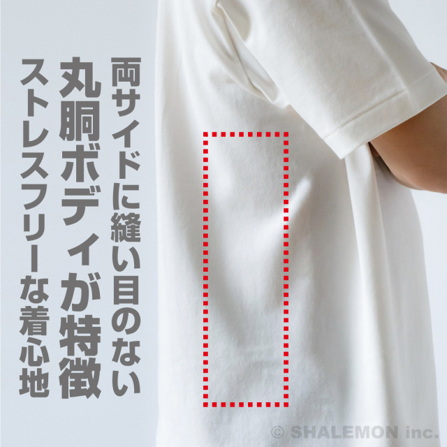 Hanes ヘインズ HANES shiro Tシャツ 【 ヘインズ SHIRO Tシャツ 半袖