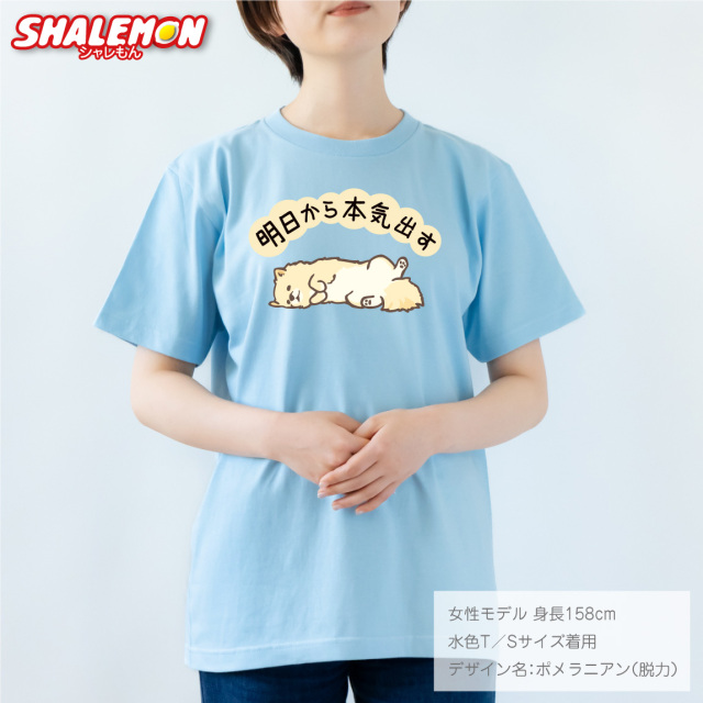 グローブ、Tシャツねこどん様限定 a470a0f7a9e0c3c0e8c843698ecc23