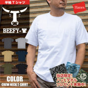 Hanes ヘインズ  BEEFY Tシャツ 【 ヘインズ ビーフィー Tシャツ 半袖 クルーネック 】【 限定ハンドタオル付 】 国内正規販売店 男性 女性 メンズ レディース 定番 プレゼント 旦那 彼氏 丸首 ボックスシルエット ヘビーウェイト  肉厚 ( 品番 H5180 / HM1-D001 )